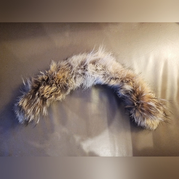 Canada Goose Trillium Parka - Graphite (style 6550L, 2017) - Picture 3 of 10